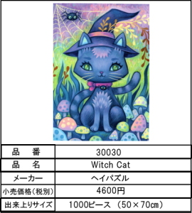 Witch Cat 